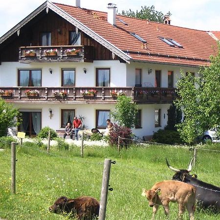 Beim Rieder Appartement Truchtlaching Buitenkant foto