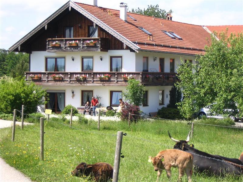 Beim Rieder Appartement Truchtlaching Buitenkant foto